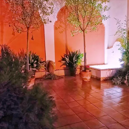Ziza Córdoba