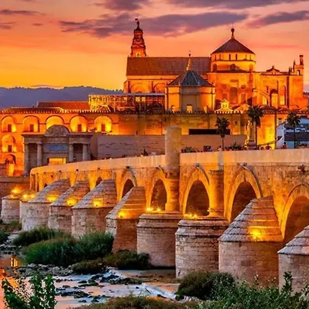 Ziza * Córdoba